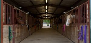 Open Trail Ranch Stables - Inside