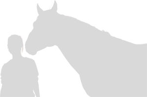 Horse Outline