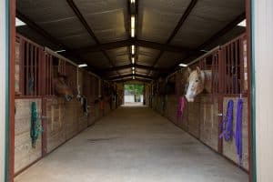 Open Trail Ranch - Inside