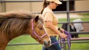 Kate Vasquez walking therapy horse Coyote