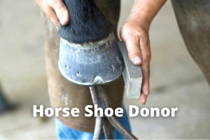 Horse Shoe Donor
